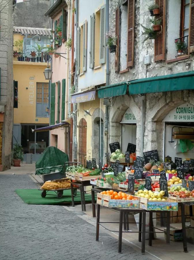 Vila French Riviera Gaudissard Vence Exteriér fotografie